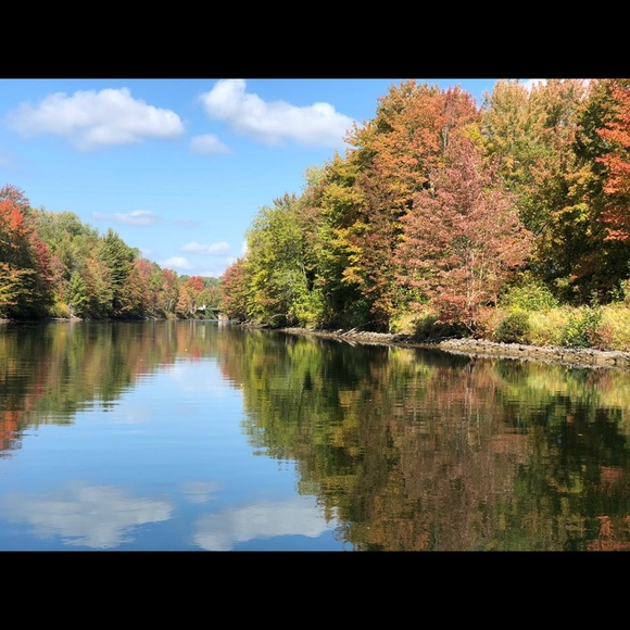 Meet your Posher, Halo - Picture 1 of 1